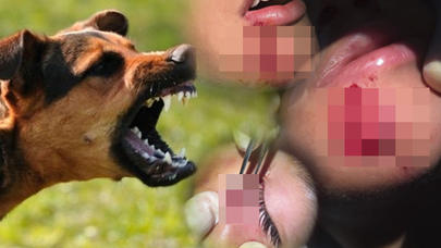 Bakıda it uşağın üzünü bu hala saldı - FOTOLAR